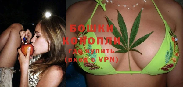 индика Лихославль