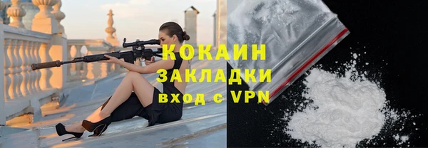 индика Лихославль