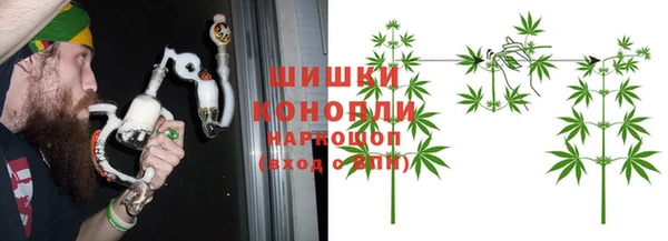 индика Лихославль