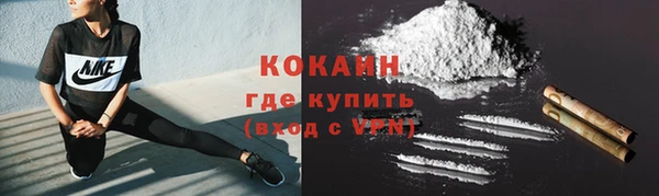 индика Лихославль