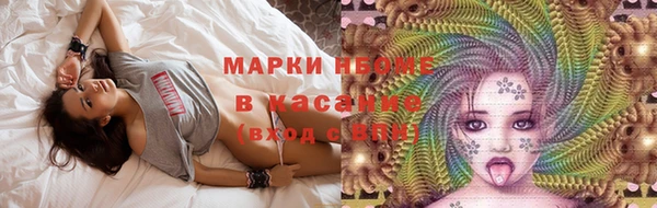 индика Лихославль