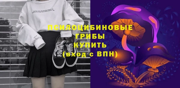 СК Липки