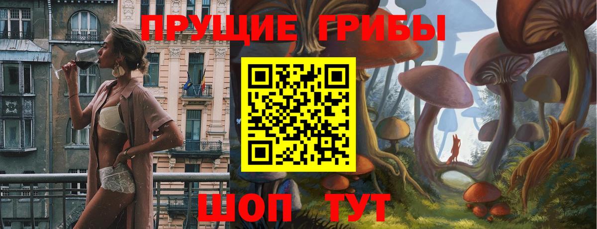 Богородицк  Псилоцибиновые грибы мухоморы  Вход с VPN  Псилоцибиновые грибы мицелий 
