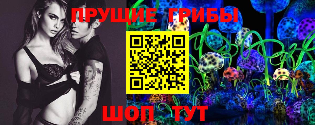 Галлюциногенные грибы Psilocybine cubensis Богородицк